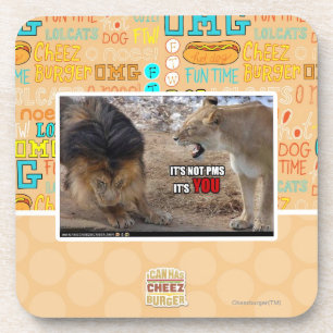 It's YOU! Coaster