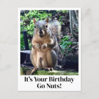 It's Your Birthday Go Nuts Funny Squirrel Joke