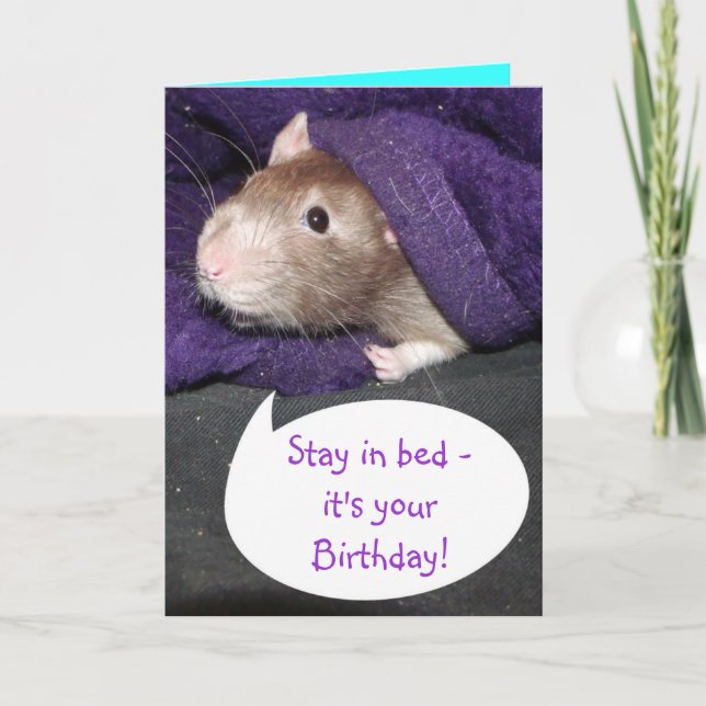 It's your birthday rat card (Front)