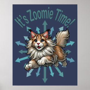 It's Zoomie Time Maine Coon Cat Poster