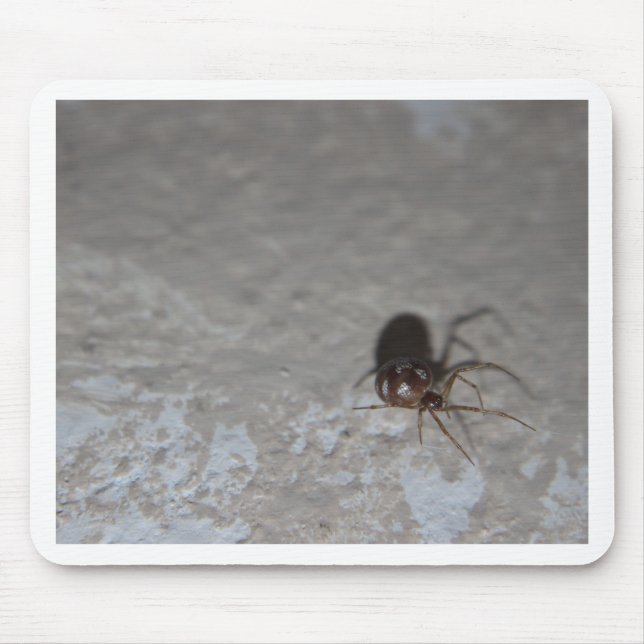 Itsy Bitsy Spider Mouse Pad (Front)