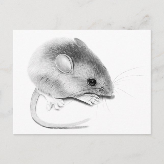 Itty Bitty Mouse Postcard (Front)