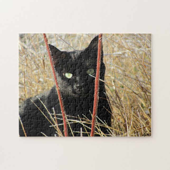 Ive been framed or add your own photo jigsaw puzzle (Horizontal)