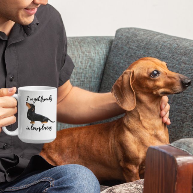 I've Got Friends in Low Places Dachshund dog  Coffee Mug (Creator Uploaded)