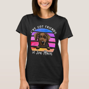I've Got Friends In Low Places Serbian Hound Dog T-Shirt
