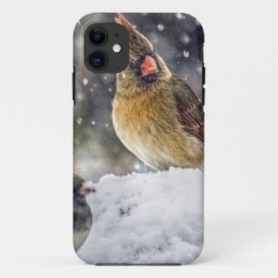 I've Got my Eye on You iPhone 11 Case