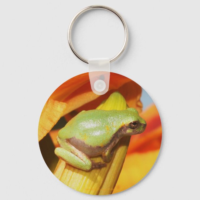 I've Got My Eye On You Keychain (Front)