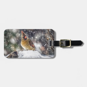 I've Got my Eye on You Luggage Tag
