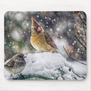 I've Got my Eye on You Mouse Pad