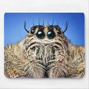 I've got my eyes on you! mouse pad