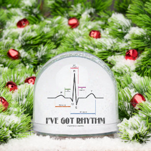 I've Got Rhythm ECG EKG Electrocardiogram Snowglobe