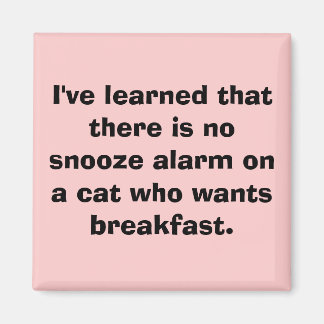 I've learned that there is no snooze alarm on a... magnet