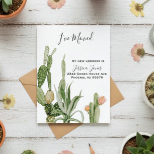 I've Moved New Address Announcement Cactus Plant Postcard