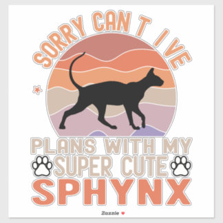 I've plans with my Sphynx cat