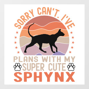 I've plans with my Sphynx cat