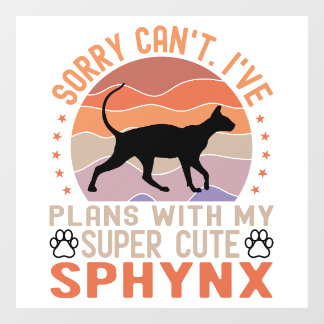 I've plans with my Sphynx cat
