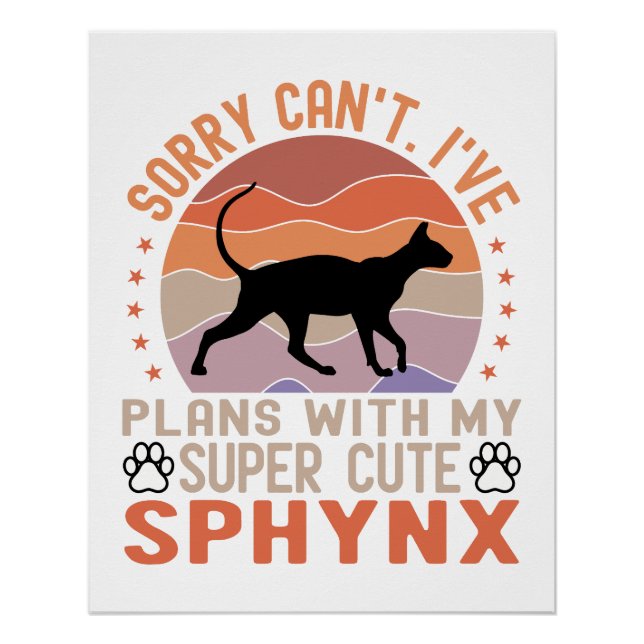 I've plans with my Sphynx cat Poster (Front)