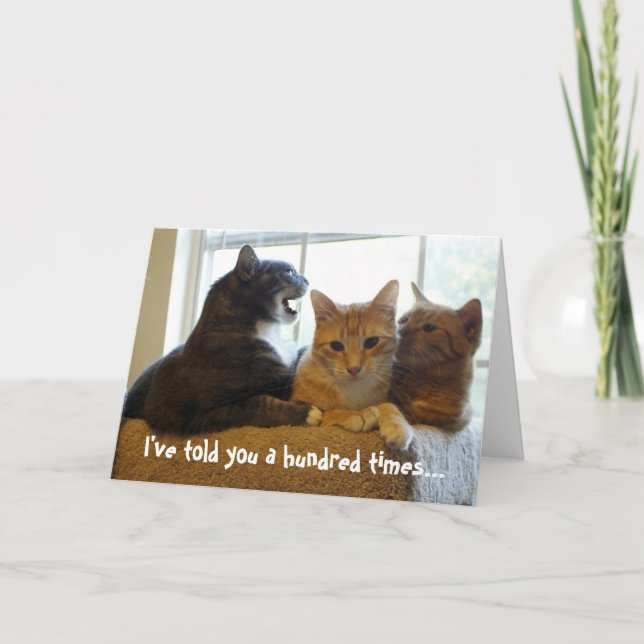 I've told you a hundred times... card (Front)