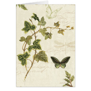 Ivies and Butterflies