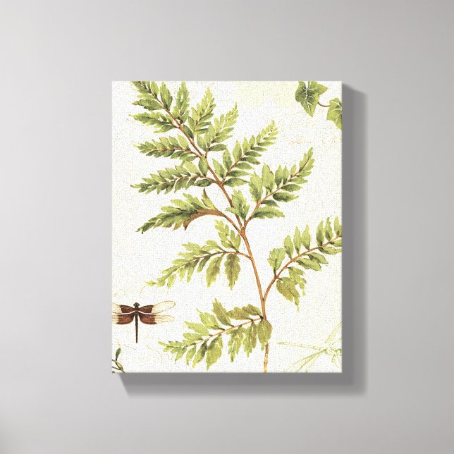Ivies and Ferns Canvas Print (Front)