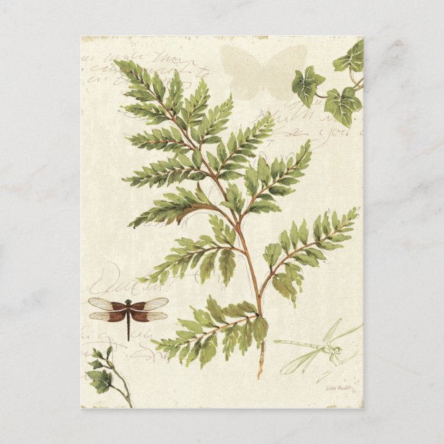 Ivies and Ferns Postcard (Front)