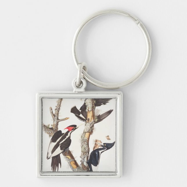 Ivory-billed Woodpecker, 1829, (print) Key Ring (Front)
