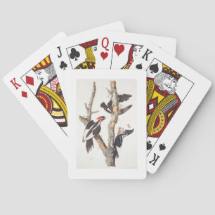 Ivory-billed Woodpecker, 1829, (print) Playing Cards