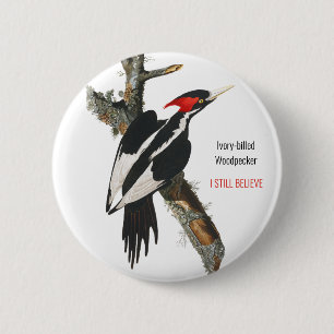 Ivory-billed Woodpecker, Audubon, I Still Believe, 6 Cm Round Badge
