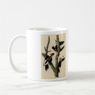 Ivory-billed Woodpecker Audubon's Birds of America Coffee Mug