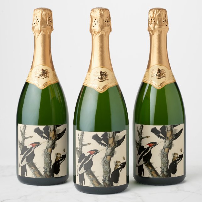 Ivory-billed Woodpecker Audubon's Birds of America Sparkling Wine Label (Bottles)