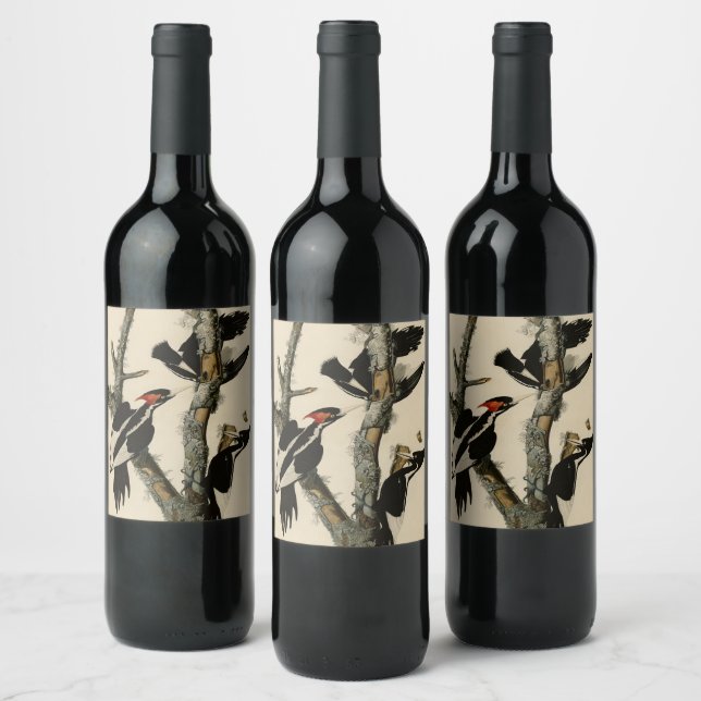 Ivory-billed Woodpecker Audubon's Birds of America Wine Label (Bottles)