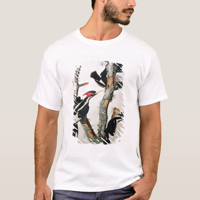 Ivory-billed Woodpecker, from 'Birds of America' T-Shirt (Front)