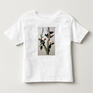 Ivory-billed Woodpecker, from 'Birds of America' Toddler T-Shirt