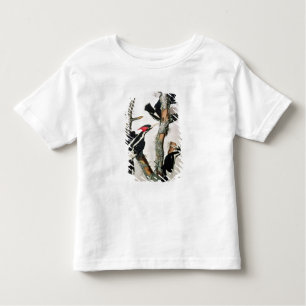 Ivory-billed Woodpecker, from 'Birds of America' Toddler T-Shirt