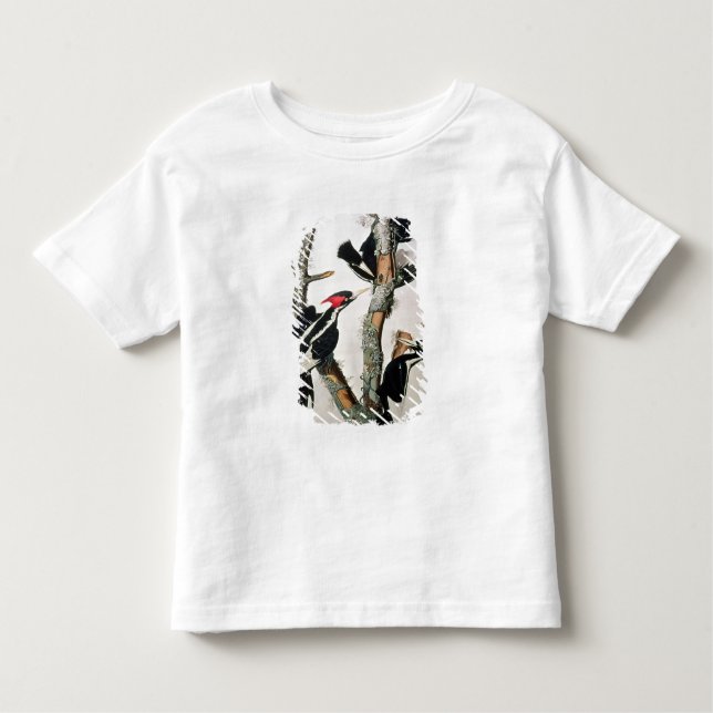 Ivory-billed Woodpecker, from 'Birds of America' Toddler T-Shirt (Front)