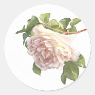 Ivory blush peach rose classic round sticker