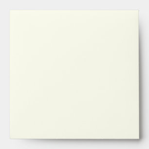 Ivory Champagne and Beige Square Wedding Envelope