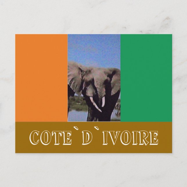 Ivory Coast flag Postcard (Front)