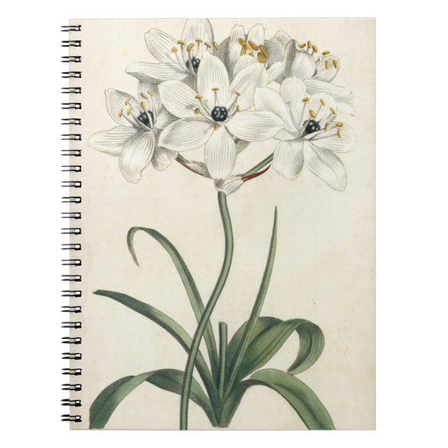Ivory Garden Notebook (Front)