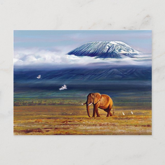 Ivory snow and egrets postcard (Front)