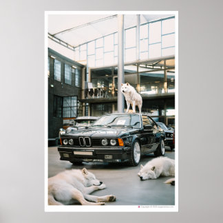 Ivory Wolf Chroma | Wolfs and a car Poster