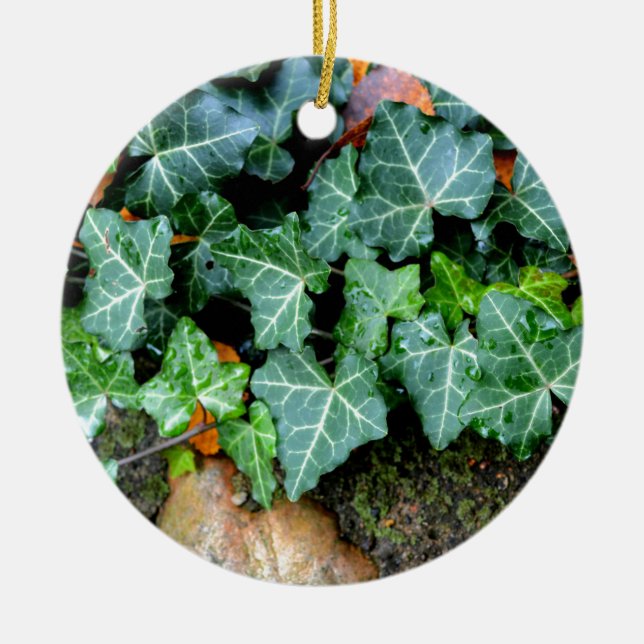 Ivy and field stone ceramic tree decoration (Front)