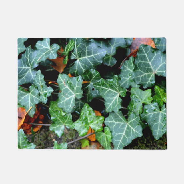 Ivy and field stone doormat (Front)
