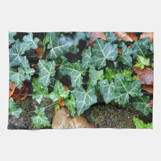 Ivy and field stone tea towel (Horizontal)