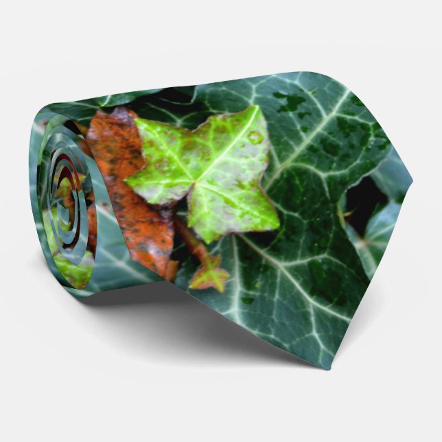 Ivy and field stone tie (Rolled)