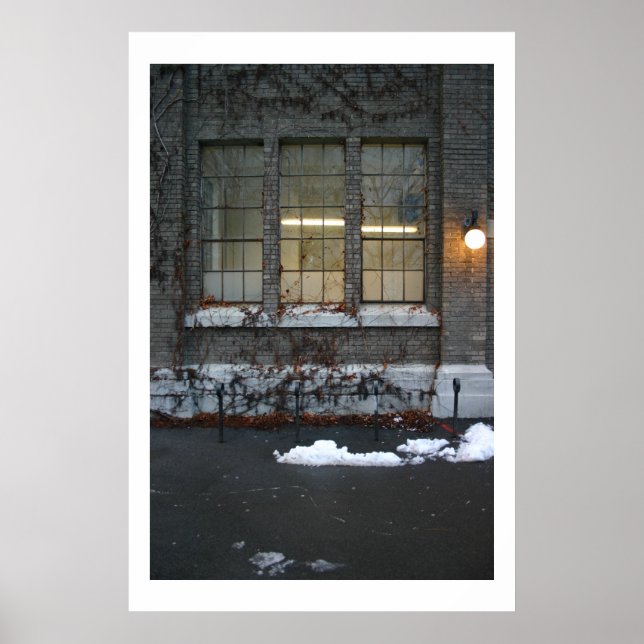 Ivy and Lights Poster (Front)