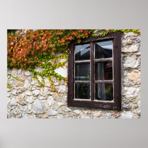 Ivy And Window, Croatia Poster