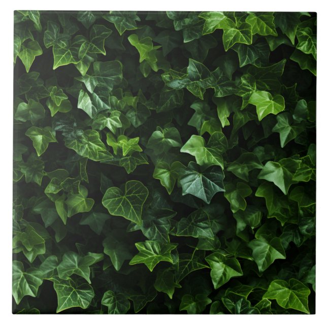 Ivy Background, Green Leaves, Naturalistic Realism Tile (Front)
