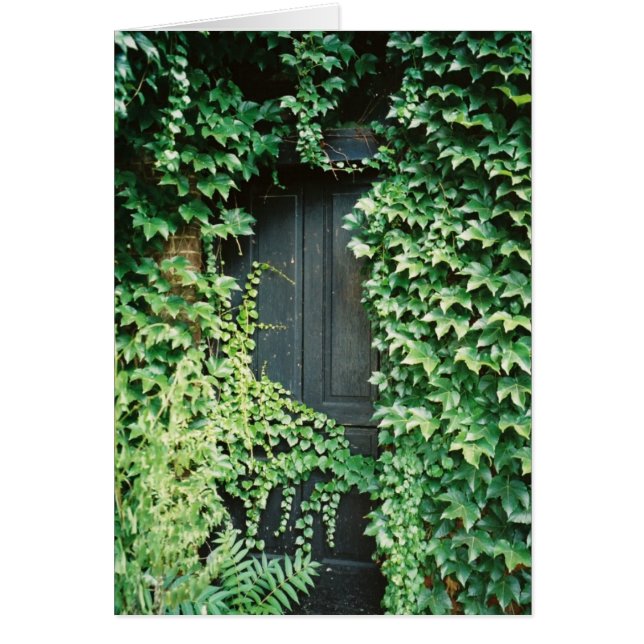 Ivy Door (Front)