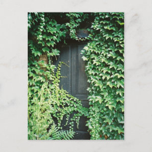 Ivy Door Postcard